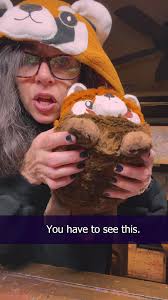Donna Got a Surprise Package from @squishable.com #bensound #unboxing  #squishable #redpanda