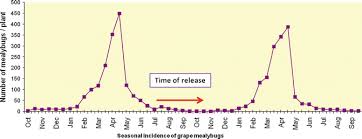 Termidor® h•p high precision injection system. Pests Springerlink