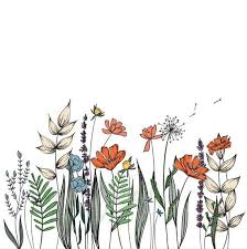 Wildflowers Line Drawing Wall Decor Botanical Illustration Etsy Wildflower Drawing Flower Drawing Plant Drawing