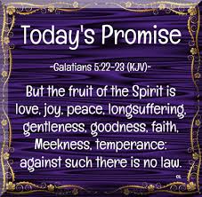 Wordpress Com Spirit Of Truth Kjv Fruit Of The Spirit
