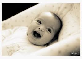 Daily Photos for Tuesday, 5 August 2008