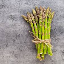 Image result for Asparagus officinalis