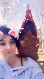 Hello everyone!! Thank you...