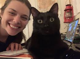 Thought I saw a kitty like this posted somewhere is she yours? Please  contact original poster as I am sharing from Maine Lost Cat Recovery.