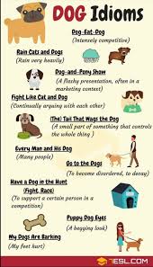 Pin By Online Teachers Lounge On English English Idioms English Vocabulary Words Learn English Vocabulary