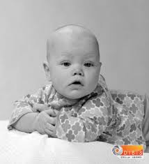 Fotografi LUL01033 hos DiBiS