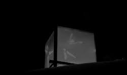 Https Encrypted Tbn0 Gstatic Com Images Q Tbn And9gcqauxozekexe0zgaobzzz9ausnfabsiaudrcg Usqp Cau