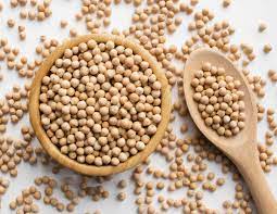 Kacang merah sangat kaya akan gizi, kandungan asam folat, kalsium, karbohidrat dan berprotein tinggi. 10 Kebaikan Kacang Kuda Yang Anda Tidak Tahu Ceriasihat