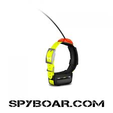 Gps Kopek Tasmasi Garmin T5 Su Gecirmez