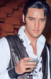 Elvis concert in the park