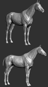 Thoroughbred Horse 3d Model Base Mesh Zbrush Realistic Sculpture Digital In 2020 Horses Zbrush Horse Sculpture