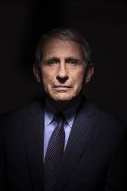 Why Are Scientists Really Really Stupid?