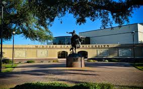 mcneese state university