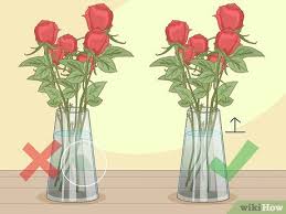Favorite colors of hydrangeas are blue and purple, although they come in several more colors such as white and pink. 3 Ways To Revive Roses Wikihow