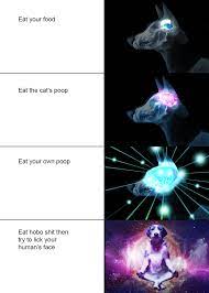 <p>if 9gag wasn't enough to convince you to sell, transcendence memes are now being used for. The Transcendence Meme Is Evolving Memes