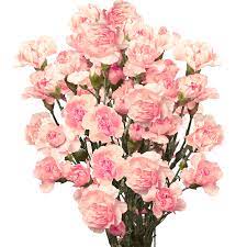 Pin On Belle En Rose