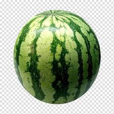 Watermelon Fruit Food Vegetable Watermelon Transparent Background Png Clipart Hiclipart Greeting cards, customized designs & more. watermelon fruit food vegetable