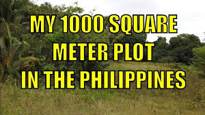 Firstly, take a piece of graph paper and allocate one large square to a square meter. My 1000 Square Meter Plot In The Philippines Youtube