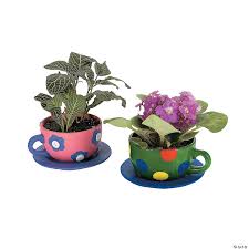 We did not find results for: Diy Ceramic Tea Cup Planters