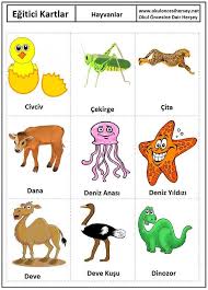 Okul Oncesi Egitici Kartlar Flash Card Hayvanlar 3 Jpg 750 1047 Hayvan Kartlari Kartlar Hayvanlar