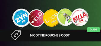 How Much Do Nicotine Pouches Cost? (Price Guide for 2026)