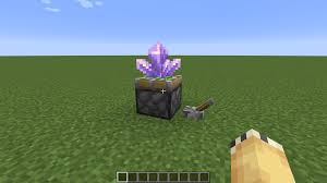 The thirdparty program that runs minecraft's code in the aptly named java edition of the game. Mc 203972 Amethyst Duplication Glitch Jira