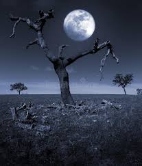 Free moon wallpapers images « long wallpapers 1920×1080. 744 Sad Moon Photos Free Royalty Free Stock Photos From Dreamstime