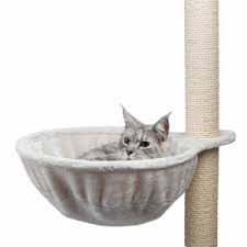 Check spelling or type a new query. Cat Tree Replacement Post And Hammock Petsgifts