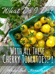 Maybe you would like to learn more about one of these? What Do I Do With All These Cherry Tomatoes Whole Fed Homestead Cherry Tomato Recipes Fresh Tomato Recipes Tomato Recipes