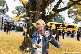 あきらかにあきら on instagram 熊本城の近くはイチョウがきれいでした 秋らかに秋ら kouhey0622 2020 熊本城 あきら 城