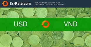 How Much Is 50000 Dollars Usd To Vnd According To