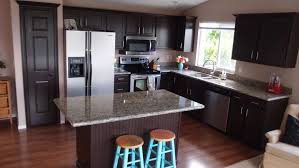 kitchen cabinet transformation kit