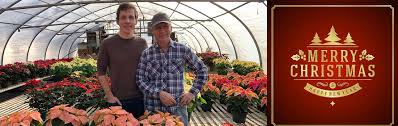 We would like to show you a description here but the site won't allow us. Hall S Flower Shop Flyline Search Marketing Blog