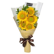 Bison kuaci bunga matahari 20 pack/ 20 pcs/ karton rp168.500. Jual Bunga Matahari Beli Buket Bunga Matahari Harga Murah