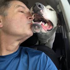 My relationship with Nitro summed up in 4 photos. #austinpetsalive  #adoptdontshop #souldog #toomanysouldogs #512dogs #atx