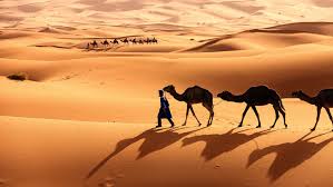 A mindless adventure flick with a preposterous plot. Learn About The Sahara Desert