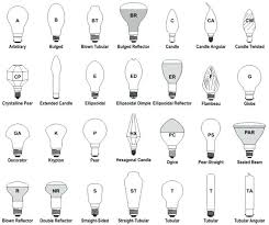 Different Light Bulb Shapes Seragam Co