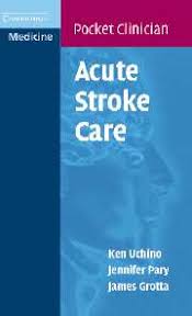 iv tpa dosing chart appendix 2 acute stroke care