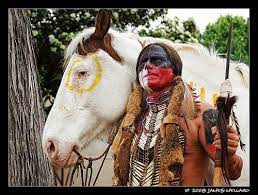 Cherokee Warrior Medicine Hat Horse War Pony Native American Wars Native American Horses