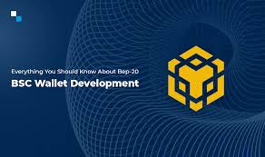 I take you through an overview of the trust wallet. How To Develop Your Own Bep20 Binance Smart Chain Wallet