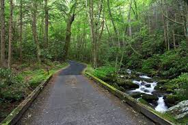 Roaring Fork Motor Nature Trail Roaring Fork Auto Tour Gatlinburg Tn Scenic Drive Smoky Mountain National Park Nature Trail