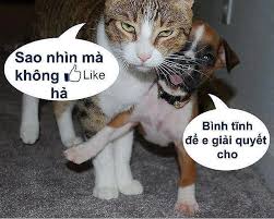 Káº¿t quáº£ hÃ¬nh áº£nh cho nhá»¯ng hÃ¬nh áº£nh hÃ i hÆ°á»c vÃ  bÃ¡ Äáº¡o vá» hÃºt thuá»c lÃ¡
