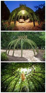 Living Willow Garden Decor Structure 1001 Gardens Willow Garden Plants Outdoor Gardens