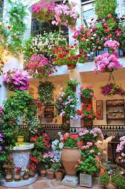 Old Blue Antique Door With A Cute Kitty Drawing Below A Perfect Romantic White Little Flower For Weddin Beautiful Gardens Beautiful Flowers Container Gardening