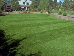 Check spelling or type a new query. Backyard Install At Its Finest With Mow Lines All 100 Artificial Turf Installed By Plushgrass Denver Back Garden Grass Lawn Backyard