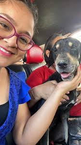 Osito volvió a casa #sisepuedesisepuede Que felicidad despues de un mes,  andaba botadito y rodando pero ya ahora por fin a casa. Cuiden mucho a sus  perros, no los dejen salir solos