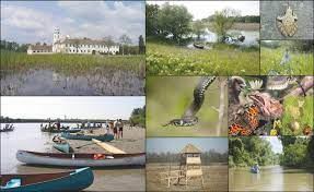 Are ca scop gospodarirea durabila si unitara, in conformitate cu prevederile amenajamentelor silvice si ale normelor de regim silvic, a fondului forestier proprietate publica a statului, in vederea cresterii contributiei padurilor la imbunatatirea conditiilor de mediu si la. Parcul Natural Lunca Muresului Paradisul De Langa Noi Ecomagazin Ro