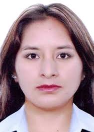 Antecedentes de Otorongos Elecciones 2022