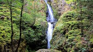 We did not find results for: Hole In The Wall Falls Or Youtube