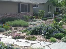 L A Peluso Designs Landscape Design And Consulting Landscape Design Garden Yard Ideas California Native Garden